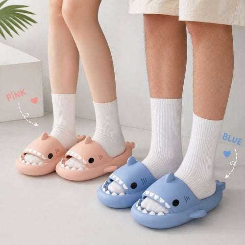 Shark Slides